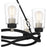 Quoizel Overlook 6 Light Chandelier, Earth Black/Clear Seedy