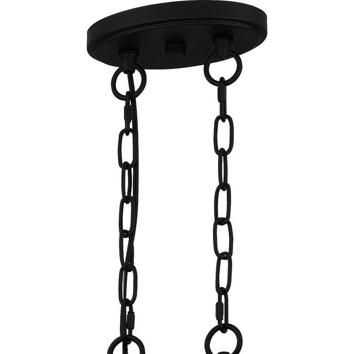 Quoizel Overlook 6 Light Island Light, Earth Black/Clear Seedy