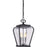 Quoizel Province 3 Light Mini Pendant, Mystic Black/Clear Seeded