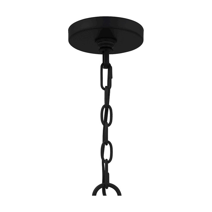 Quoizel Tansy 4 Light Pendant, Matte Black/Clear