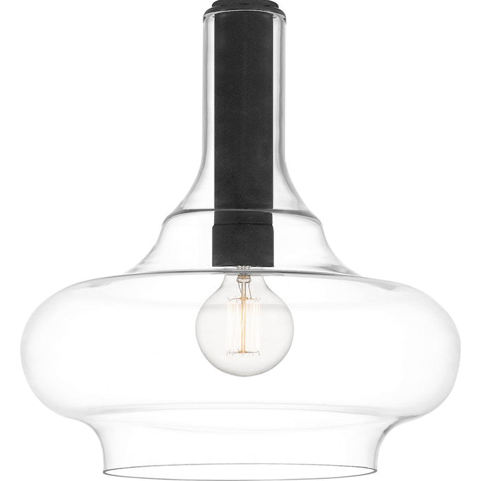 Quoizel Beachmont 1 Light Pendant, Mottled Black/Clear