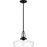 Quoizel Haven 1 Light Pendant