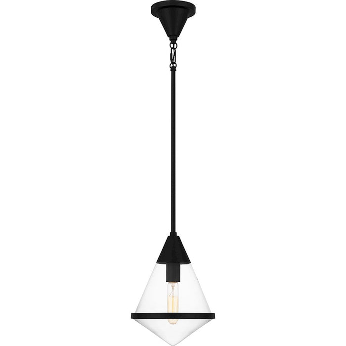 Quoizel Hidalgo 1 Light Mini Pendant