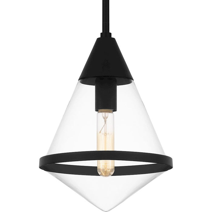 Quoizel Hidalgo 1 Light Mini Pendant