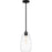 Quoizel Asher 1 Light Mini Pendant