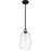 Quoizel Asher 1 Light Mini Pendant