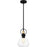 Quoizel Singh 1 Light Mini Pendant