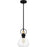 Quoizel Singh 1 Light Mini Pendant