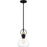 Quoizel Singh 1 Light Mini Pendant