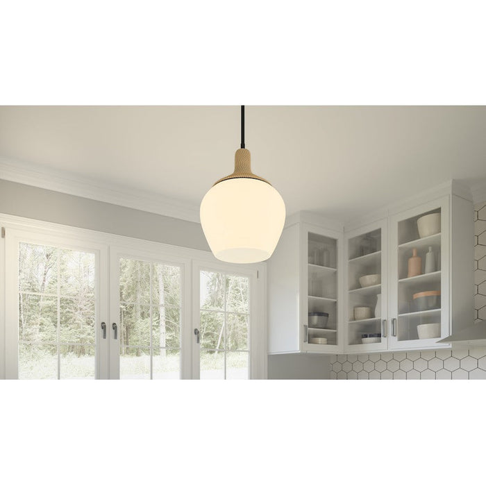 Quoizel Royer 1 Light Mini Pendant, Matte Black/Clear Water - QPPC5603MBK