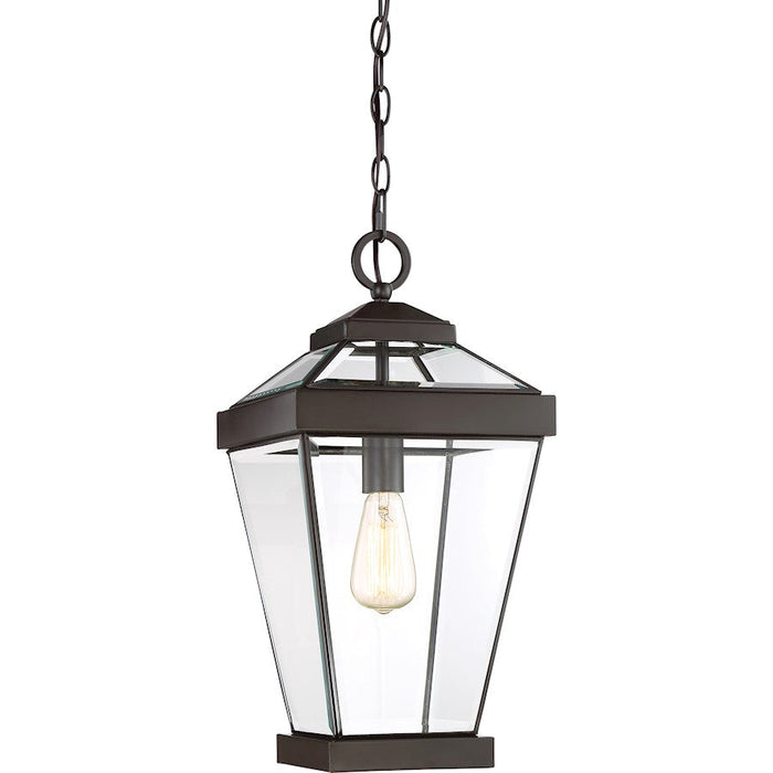 Quoizel Ravine 1 Light Mini Pendant, Bronze/Clear Beveled