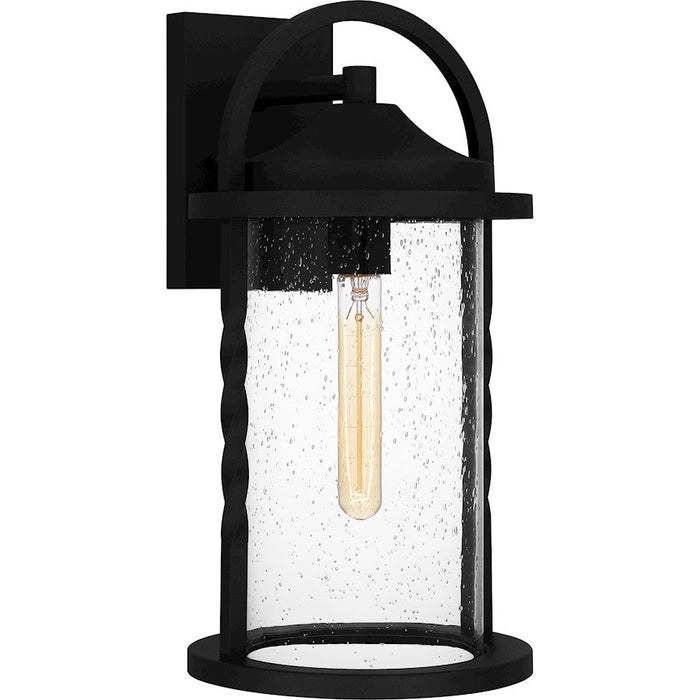 Quoizel Reece 1 Light Outdoor Lantern, Earth Black/Clear Seedy