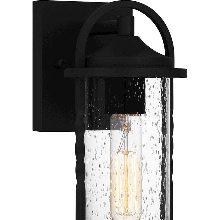 Quoizel Reece 1 Light Outdoor Lantern, Earth Black/Clear Seedy