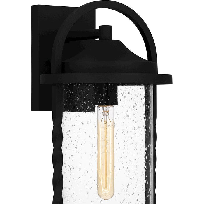 Quoizel Reece 1 Light Outdoor Lantern, Earth Black/Clear Seedy