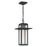 Quoizel Randall 1 Light Mini Pendant, Mottled Black/Clear Seeded