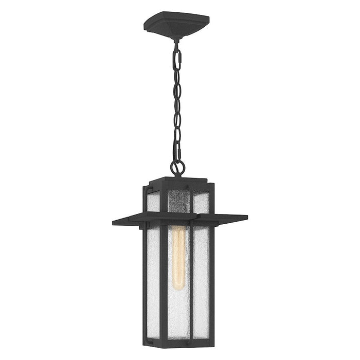 Quoizel Randall 1 Light Mini Pendant, Mottled Black/Clear Seeded