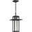 Quoizel Randall 1 Light Outdoor Hanging Lantern, Mottled Black