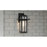 Quoizel Randall 1 Light 13" Outdoor Wall Mount, Mottled Black