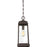 Quoizel Ravenel 1 Light Mini Pendant, Bronze/Clear Seeded