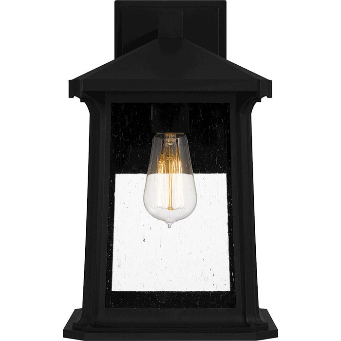 Quoizel Satterfield 1 Light Outdoor Lantern, Black/Clear Seedy