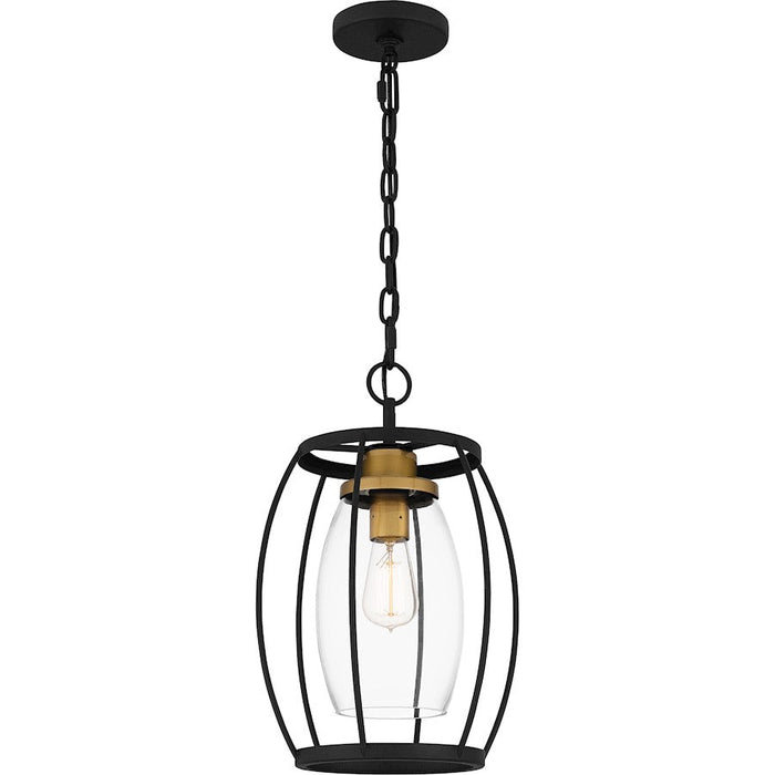 Quoizel Thyme 1 Light Mini Pendant, Earth Black/Clear