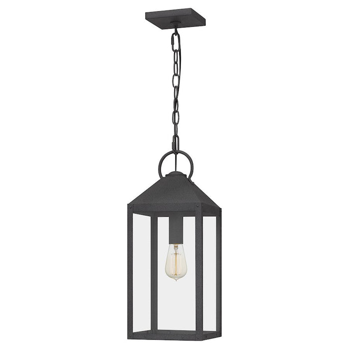 Quoizel Thorpe 1 Light Mini Pendant, Mottled Black/Clear Tempered