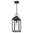 Quoizel Thorpe 1 Light Mini Pendant, Mottled Black/Clear Tempered