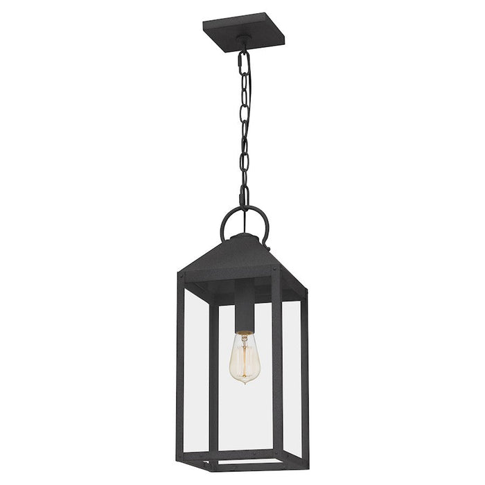 Quoizel Thorpe 1 Light Mini Pendant, Mottled Black/Clear Tempered