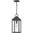 Quoizel Thorpe 1 Light Outdoor Hanging Lantern, Mottled Black