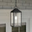 Quoizel Thorpe 1 Light Outdoor Hanging Lantern, Mottled Black