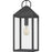 Quoizel Thorpe 1 Light Outdoor Hanging Lantern, Mottled Black