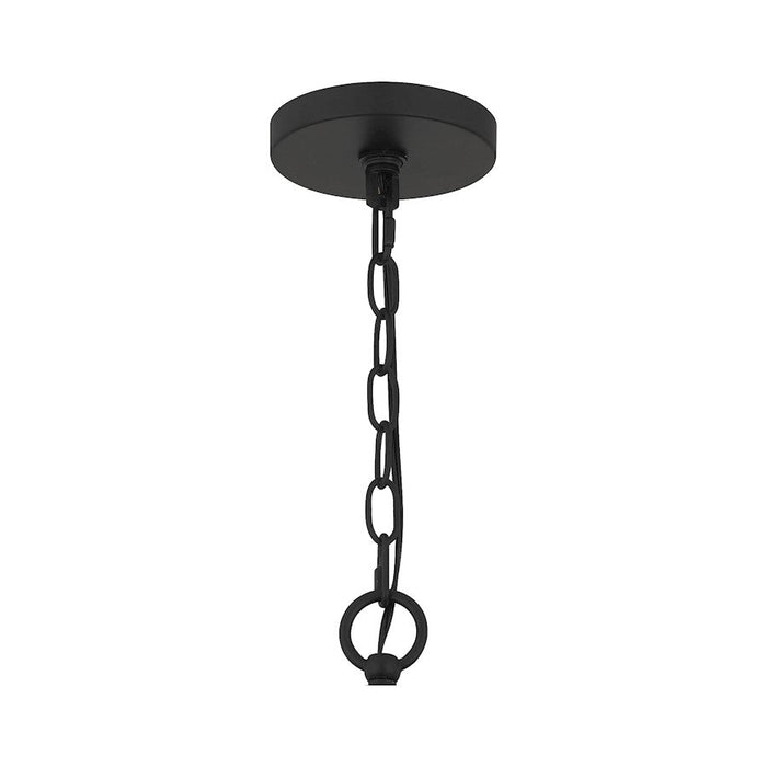 Quoizel Wagner 4 Light Chandelier, Matte Black