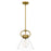 Quoizel Webster 1 Light Mini Pendant, Weathered Brass/Clear