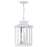 Quoizel Wakefield 3 Light Outdoor Hanging Lantern, White Lustre