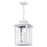 Quoizel Wakefield 3 Light Outdoor Hanging Lantern, White Lustre