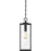 Quoizel Westover 1 Light Mini Pendant, Clear Seeded