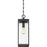 Quoizel Westover 1 Light Mini Pendant, Clear Seeded