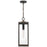 Quoizel Westover 1 Light Mini Pendant, Clear Seeded