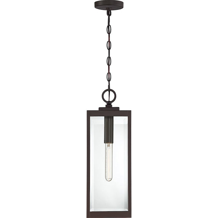 Quoizel Westover 1 Light Mini Pendant, Clear Seeded