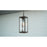 Quoizel Westover 1 Light Outdoor Hanging Lantern, Industrial Bronze - WVR1907IZ