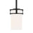 Sea Gull Robie 1 Light Mini-Pendant, Midnight Black/Etched/White - 6121601-112