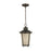 Sea Gull Cape May 1 Light Outdoor Pendant, Iron/Amber - 62240-780