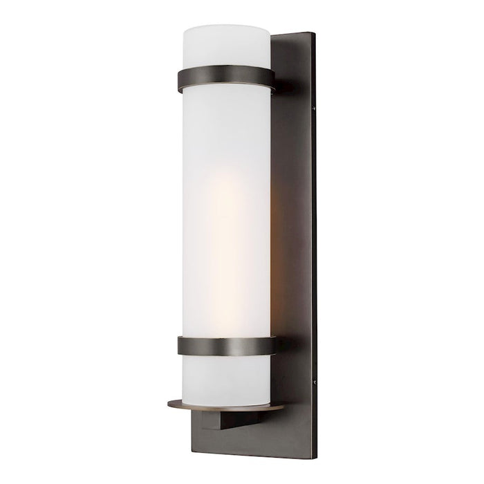 Sea Gull Lighting Alban LG 1-LT Outdoor Wall RD,60W, BZ/Etch Opal - 8718301-71