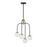 Savoy House Couplet Chandelier, Black/Brass/Frosted