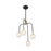 Savoy House Couplet Chandelier, Black/Brass/Frosted