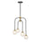 Savoy House Couplet Chandelier, Black/Brass/Frosted