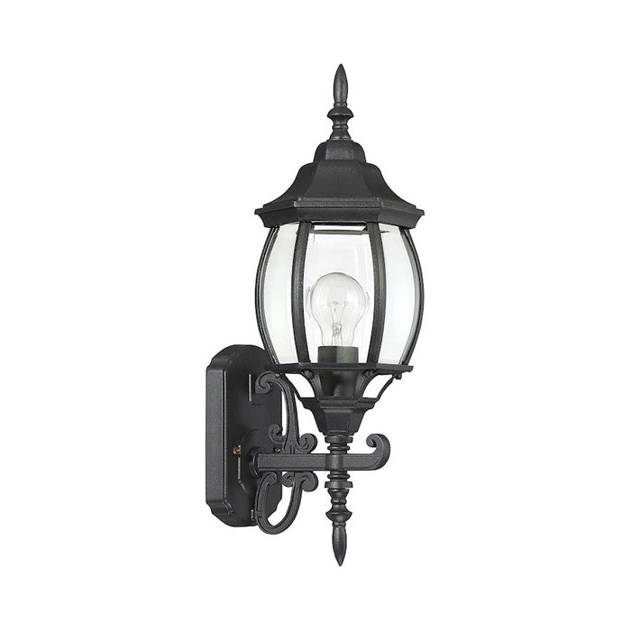 Savoy House Exterior Collection 18" Outdoor Wall Lantern, Black/Clear