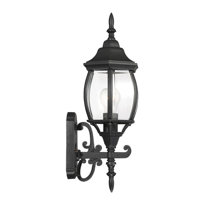 Savoy House Exterior Collection 18" Outdoor Wall Lantern, Black/Clear