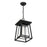 Savoy House Denver 1 Light Outdoor Hanging Lantern, Black/Seeded