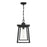 Savoy House Denver 1 Light Outdoor Hanging Lantern, Black/Seeded